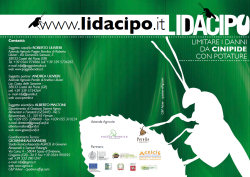 depliant progetto lidacipo